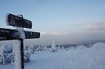 Am Frauentag auf den Brocken (Foto: H. Fischer/AHP) Am Frauentag auf den Brocken (Foto: H. Fischer/AHP)