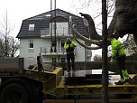Das Mammut ist umgezogen (Foto: nnz)