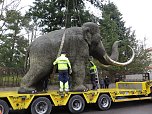 Das Mammut ist umgezogen (Foto: nnz)