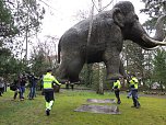Das Mammut ist umgezogen (Foto: nnz)