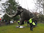 Das Mammut ist umgezogen (Foto: nnz)