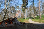 Der Fr&uuml;hling hat schon lange Einzug gehalten im Park Hohenrode (Foto: Angelo Glashagel)
