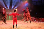 Zirkus Knie in Nordhausen (Foto: Peter Blei)