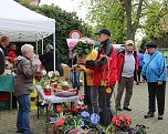 Fr&uuml;hlingsmarkt: Fr&uuml;hlingsblumen waren willkommene Mitbringsel. (Foto: S. Schedwill)