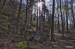 Die Felsen Tour im Südharz (Foto: Christian Schelauske) Die Felsen Tour im Südharz (Foto: Christian Schelauske)