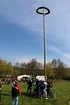 Maibaum in W&uuml;lfingerode gesetzt (Foto: Berti Voigt)