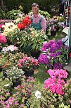 Am letzten Mai-Sonntag: 21. Rhododendronfest (Foto: Andreas Lawrenz) Am letzten Mai-Sonntag: 21. Rhododendronfest (Foto: Andreas Lawrenz)