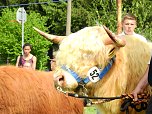 4. Jungtierschau in Neustadt (Foto: Peter Blei)