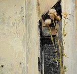 Unwirkliche Orte: Papierfabrik Bernburg (Foto: Peter Blei) Unwirkliche Orte: Papierfabrik Bernburg (Foto: Peter Blei)