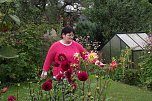 Die Kleingärtnerin lässt auch gern Blumen sprechen. Im Bild Dahlien. (Foto: Kurt Frank) Die Kleingärtnerin lässt auch gern Blumen sprechen. Im Bild Dahlien. (Foto: Kurt Frank)