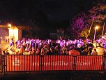 Open-Air-Dancefloor im Gehege (Foto: Nicole Schulz)