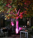 Halloween in der Altstadt (Foto: Peter Blei)