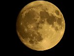Gefunden: Der Supermond (Foto: Peter Blei)