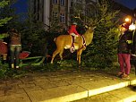 1. Advent in Nordhausen (Foto: nnz)