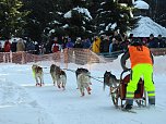 Schlittenhunderennen in Benneckenstein (Foto: Peter Blei) Schlittenhunderennen in Benneckenstein (Foto: Peter Blei)