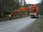 Holzeinschlag im Schuhmannstal (Foto: Forstamt Bleicherode-S&uuml;dharz)