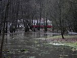 Die Bere f&uuml;hrt Hochwasser (Foto: Peter Blei)