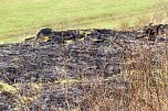 Flächenbrand bei Sollstedt (Foto: Bernd Peter) Flächenbrand bei Sollstedt (Foto: Bernd Peter)