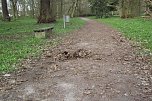 Mulmiges verwelktes Laub auf Spazierwegen. Arbeit für den Frühjahrsputz. (Foto: Kurt Frank) Mulmiges verwelktes Laub auf Spazierwegen. Arbeit für den Frühjahrsputz. (Foto: Kurt Frank)