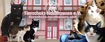 Frühlingsfest im Tierschutzhaus (Foto: Tierschutz Nordhausen e. V.) Frühlingsfest im Tierschutzhaus (Foto: Tierschutz Nordhausen e. V.)