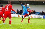 2:1-Sieg gegen Neustrelitz (Foto: Bernd Peter)