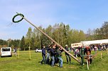 Maibaumsetzen in Wülfngerode (Foto: Berti Voigt) Maibaumsetzen in Wülfngerode (Foto: Berti Voigt)