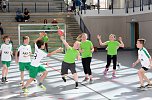 Handball-Kreismeisterschaft der Grundschulen (Foto: Uwe Tittel) Handball-Kreismeisterschaft der Grundschulen (Foto: Uwe Tittel)