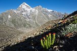 Impressionen vom Indischen Himalaya (Foto: T. Graner)