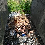 Schlachtabfälle entsorgt (Foto: privat) Schlachtabfälle entsorgt (Foto: privat)