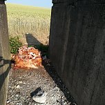 Wieder Schlachtabf&auml;lle entsorgt (Foto: privat)