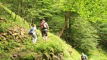 Sonntagswanderung bei Thale (Foto: Angelo Glashagel)