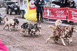 Schlittenhunderennen in Pullmann City II (Foto: Peter Blei)