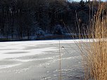 Winter am Hirschenteich (Foto: J. Friedling)