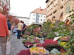 Herbstmarkt in Nordhausen (Foto: nnz)