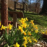 Ahornpark-Verein l&auml;dt ein (Foto: privat)