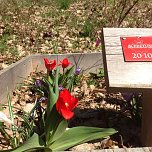 Ahornpark-Verein l&auml;dt ein (Foto: privat)