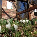 Ahornpark-Verein l&auml;dt ein (Foto: privat)