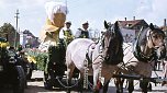 Erstes Rolandsfest 1955 (Foto: Archiv Schieke) Erstes Rolandsfest 1955 (Foto: Archiv Schieke)