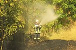 B&ouml;schungsbrand in Kleinfurra (Foto: S. Dietzel)