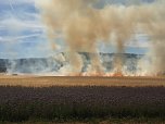 Feldbrand zwischen Groß- und Kleinfurra (Foto: S. Dietzel) Feldbrand zwischen Groß- und Kleinfurra (Foto: S. Dietzel)