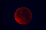 Mondfinsternis (Foto: F. Smolla) Mondfinsternis (Foto: F. Smolla)