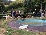 Hundebadetag (Foto: Sandra Witzel)