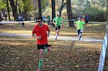 Stadtparklauf in Sondershausen (2) (Foto: Karl-Heinz Herrmann) Stadtparklauf in Sondershausen (2) (Foto: Karl-Heinz Herrmann)