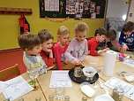 Forschertage an der Grundschule Werther (Foto: Sabine Wagner) Forschertage an der Grundschule Werther (Foto: Sabine Wagner)