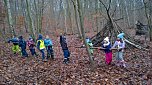 Spatzenkinder erkunden den Wald (Foto: privat)