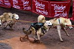 Hundeschlittenrennen in Pullman City (Foto: Peter Blei) Hundeschlittenrennen in Pullman City (Foto: Peter Blei)