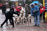 Hundeschlittenrennen in Pullman City (Foto: Peter Blei) Hundeschlittenrennen in Pullman City (Foto: Peter Blei)