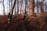Flächenbrand bei Großlohra (Foto: S. Dietzel) Flächenbrand bei Großlohra (Foto: S. Dietzel)