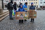 Fridays for Future Demonstration in Nordhausen (Foto: A. M&uuml;ller)