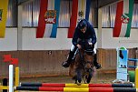 3. Hallenmeisterschaft Springreiten (Foto: nnz)